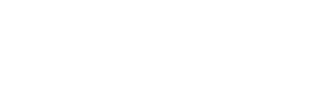 Dommi